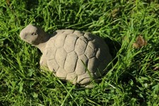 Schildkröte Steinfigur klein frostfester Steinguss 
