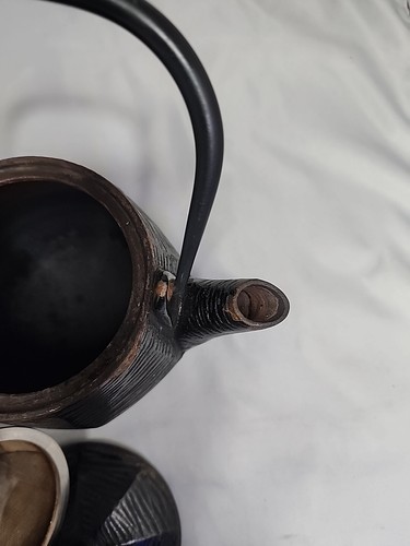 Heavy Antique Japanese Iron Tea Pot Black with Spider Web Relief Design Signed - Picture 7 of 14