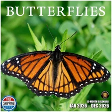 RED EMBER Butterflies 2026 Wall Calendar 12 Month | 12" x 24" Ope
