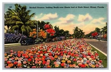 Miami FL Brickell Avenue Zinnia Flower Bed Street Linen Postcard Posted 1946