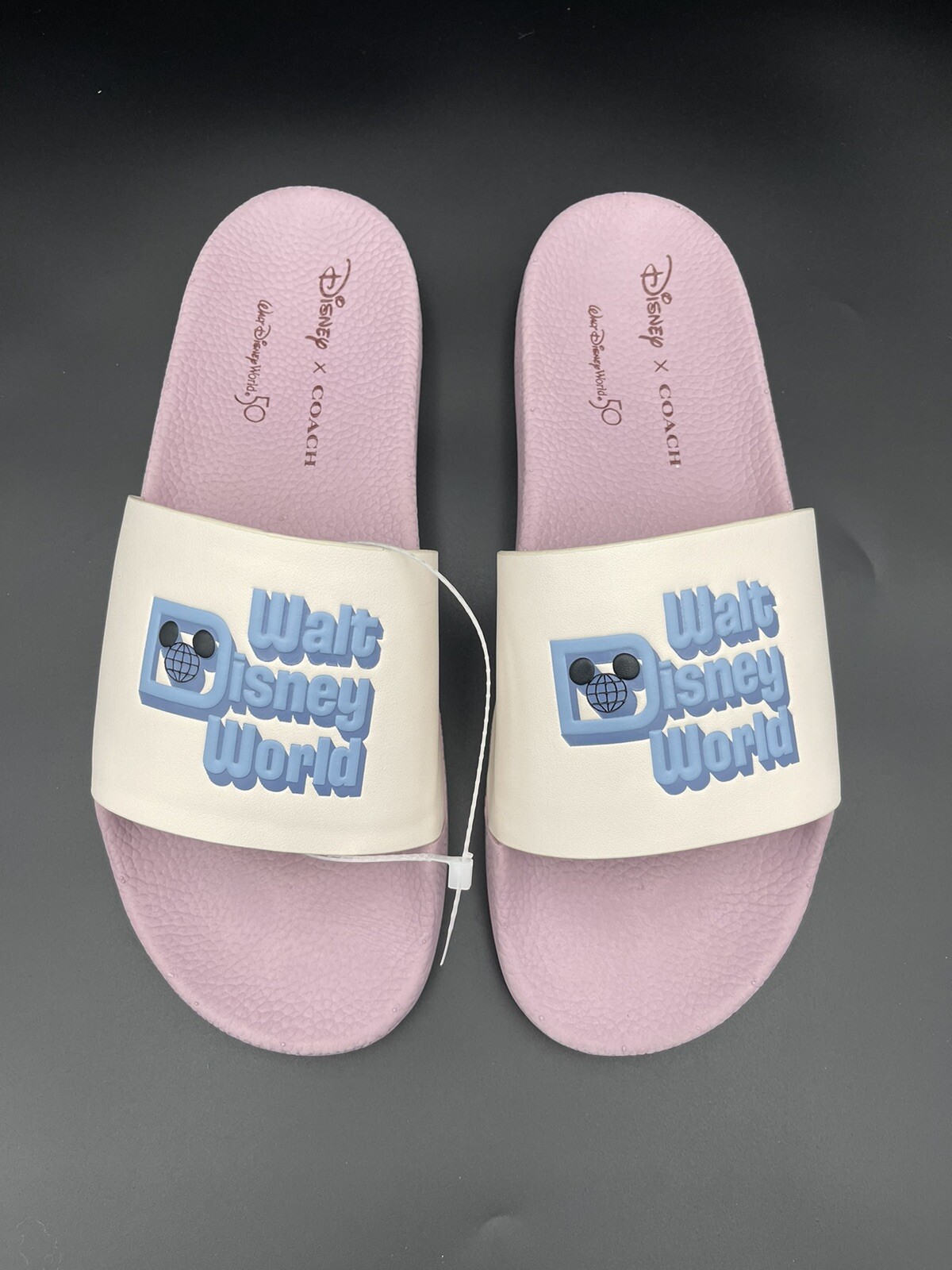 Diapositiva deportiva COACH x Disney World 50 aniversario para mujer 11 - púrpura hielo C8739