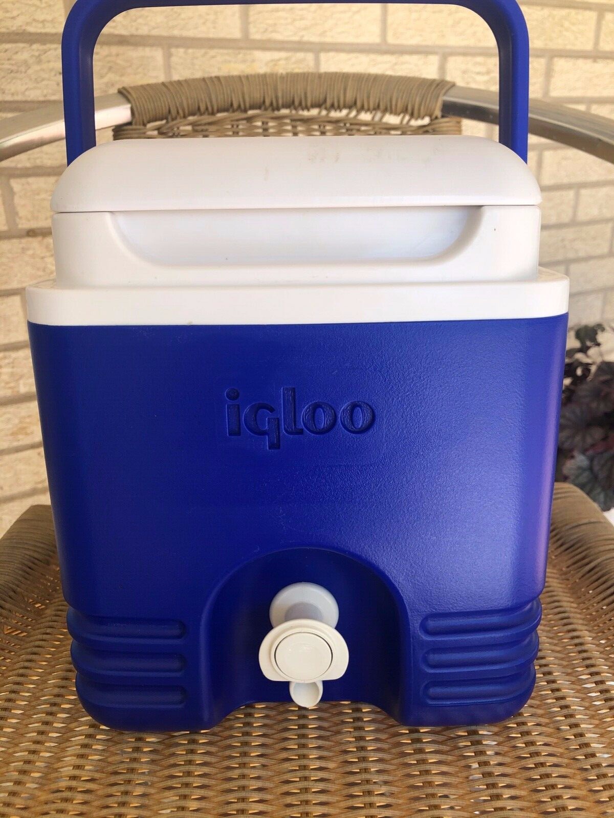 igloo hot beverage dispenser