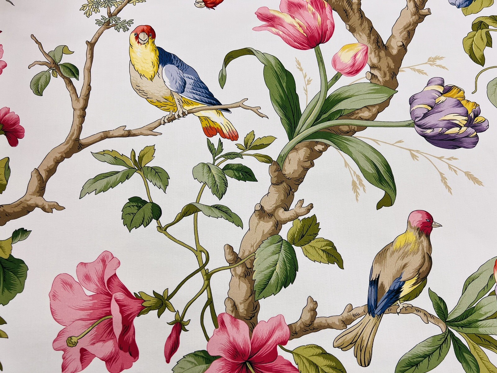 Scalamandre Tropical Bird & Floral Cotton Print Fabric Belize/ Ivory 3