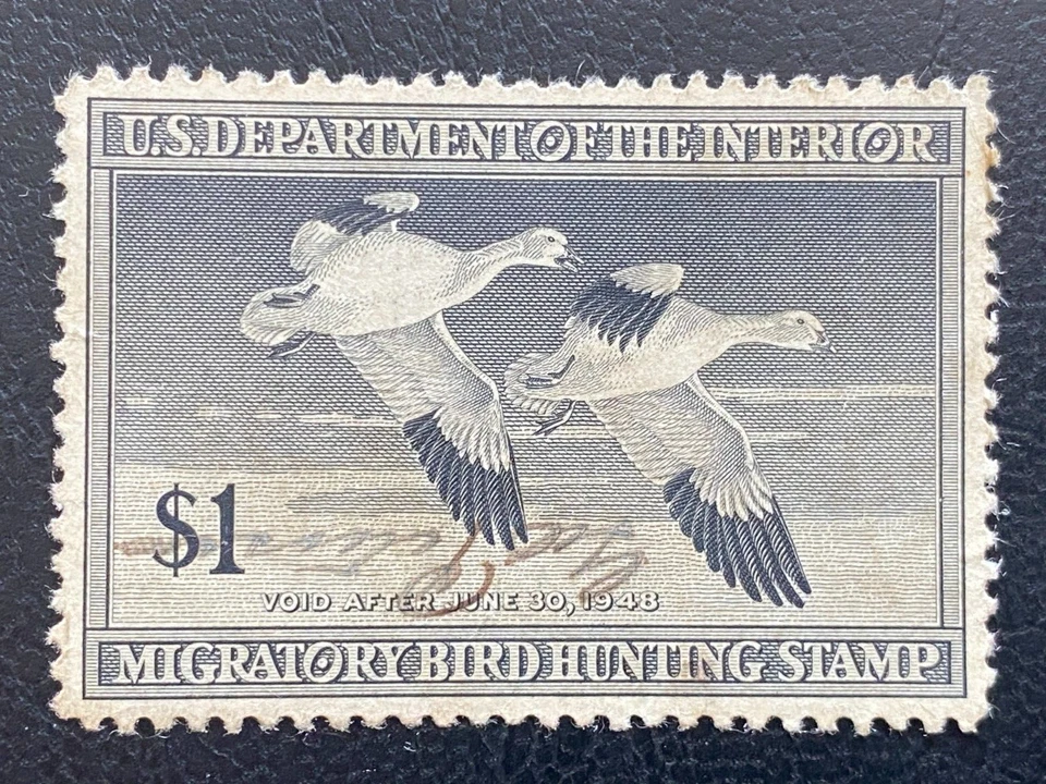 US STAMPS DEPT. OF INTERIOR RW14 $1 MIGRATORY BIRD HUNTING STAMP 1947/48, SIGNED - Image 2 of 3