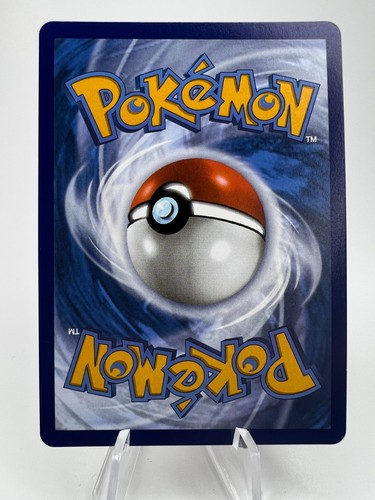 Raihan Full Art Trainer Card 202 Pokemon SWSH Evolving Skies NM D362 