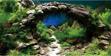 48x18 in Arch Stone Aquarium Backdrop Aquatic Plant Fish Tank Background Rive