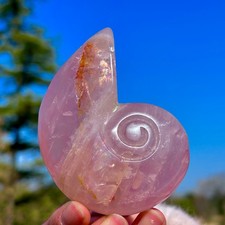 249G Collection!Natural Pink Rose Quartz Hand Carved Shell Crystal Reiki Healing