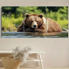 3pcs Brown Bear  Wall Art Canvas Framed 50x70cm