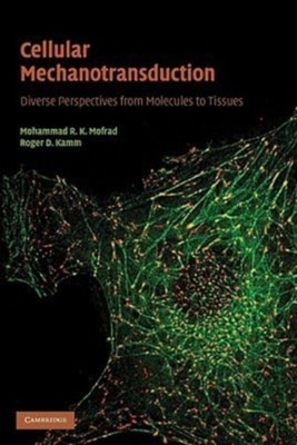 Cellular Mechanotransduction: Diverse Perspectives from Molecules to Tissues, ,