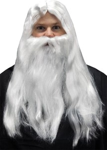 Morris Costumes Men S Wizard Look Long Haired Wig And Beard
