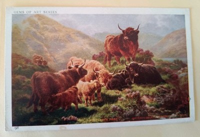 Kunst Postkarte, Hochlandkühe/ Rinder, Schottlands Stolz
