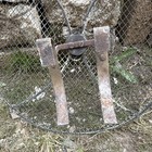 Bild 11 von 12