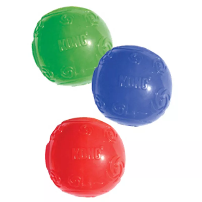 Kong squeaker clearance ball