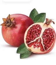 Rare SEEDLESS Pomegranate (120 seeds) +10 FREE NonGMO Edible Fruit Tree Garden