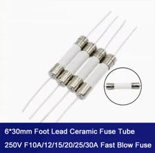 5Pcs 6*30mm Foot Lead Ceramic Fuse Tube 250V F10A/12/15/20/25/30A Fast Blow Fuse