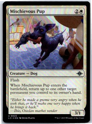 Mischievous Pup U Foil MTG: The Lost Caverns of Ixalan LCI 25 2023 [LP]