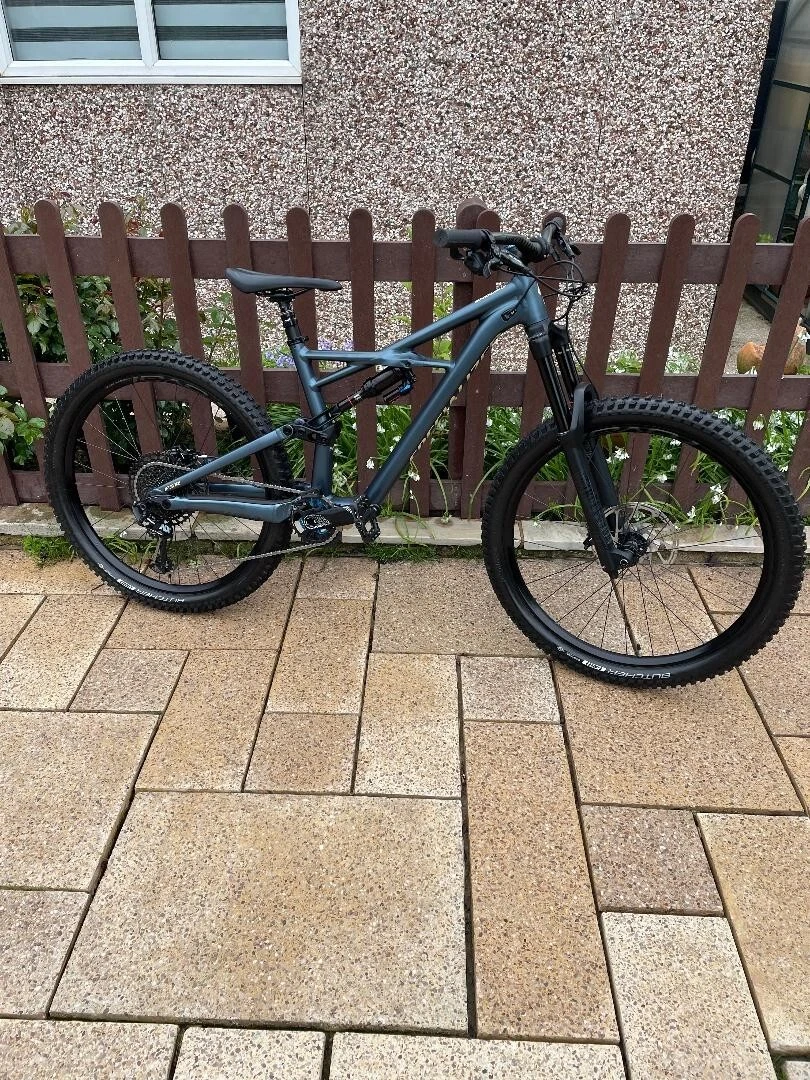 Specialized enduro cheap comp 650b 2019