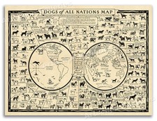 1936 Dogs of the World Vintage Dog Breeds Art Print Poster - 24x32