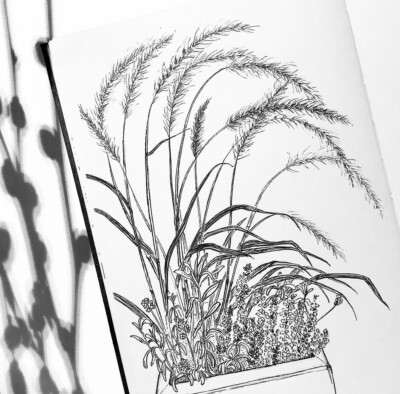 New Original A4 Cartridge Paper Sketch Drawing Flower Floral Art Gift No FrameUK