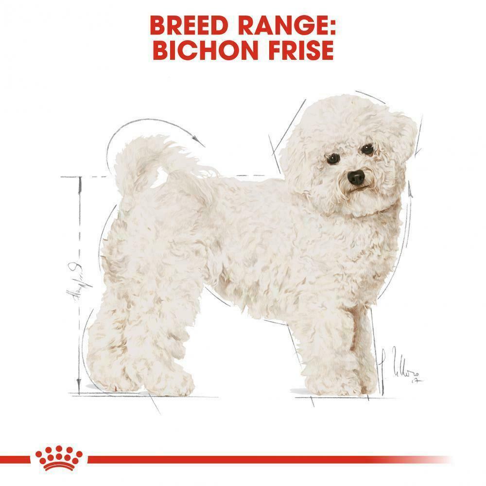 royal canin bichon frise
