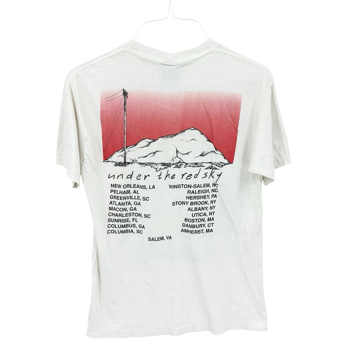 90sBOB DYLAN under the red sky tシャツ