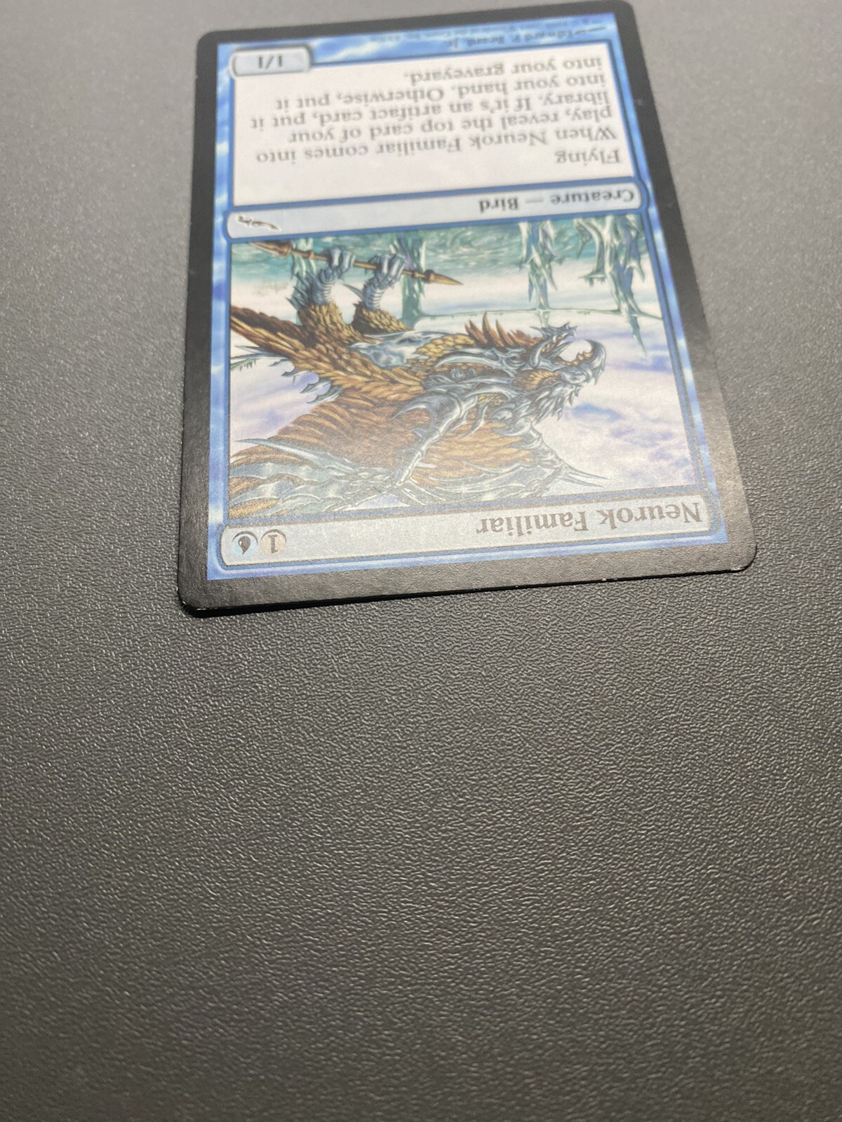 Picture 4 of 12