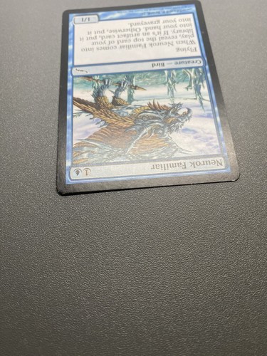 Neurok Familiar 1993-2003 Unlimited Common HP MAGIC THE GATHERING - Picture 4 of 12