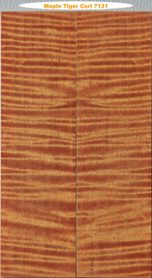 Striking Stabilized Orange Tiger Maple knife scales #7131, 6 5/8 x 1 7/8 x 3/8+''