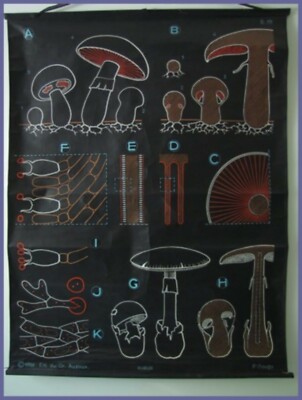 Affiche Pédagogique Ancienne 'Le Constructeur D'Escaliers' - Planche Scolaire Basset, Thème Sciences