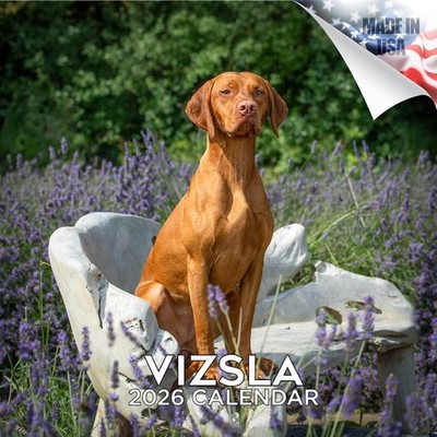 Vizsla Dog Breed Calendar 2026 FULL SIZE 12x24 Made in USA