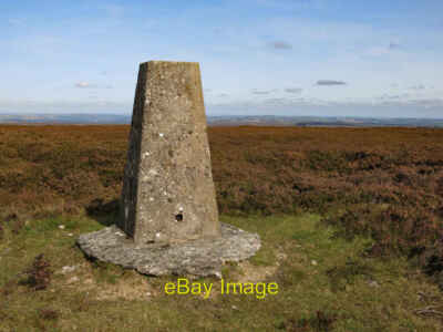 Photo 6x4 Trig point on Collier Law (2) Crawleyside  c2020