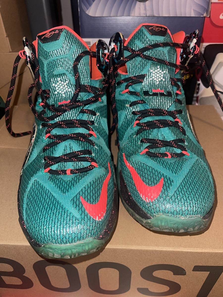 Size 9.5 - Nike LeBron 12 Xmas Akron Birch 2014 | eBay