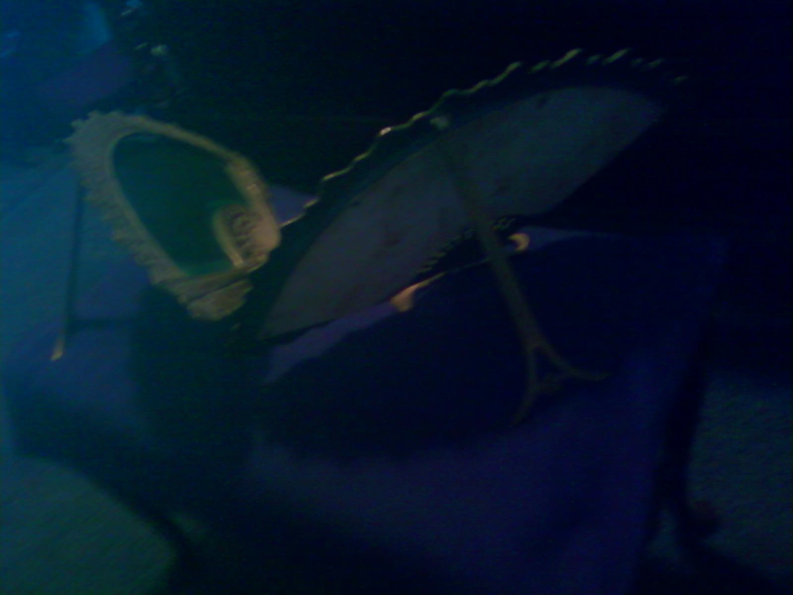 Picture 4 of 7