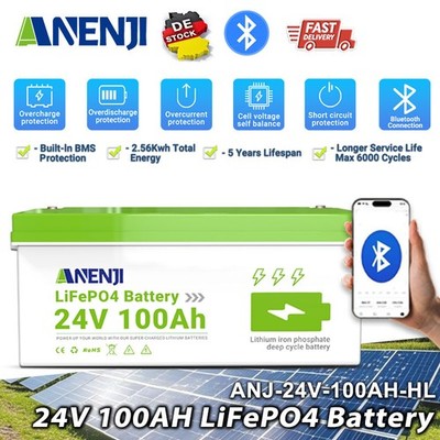 24V 100Ah LiFePO4 Battery Li ion 25.6V 100A Smart Bluteooth BMS 10years Lifespan