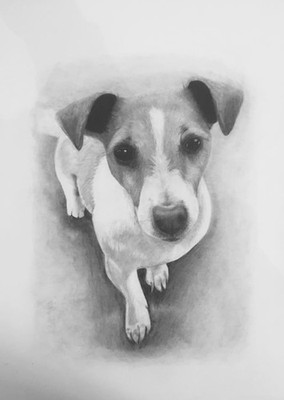 Professionelle Bleistiftportraits aus eigenen Fotos. Erhältlich in A4 oder A3.