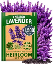 HOME GROWN Non GMO English Lavender Seeds 1,500 Wildflower Seed for...