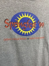 Vintage Spring fest 1996 Children’s Miracle Network T-Shirt Adult XL Gray