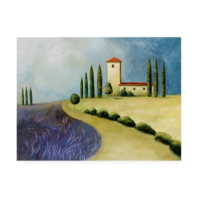 , 14x19 Tuscan Villas Paint 3 by Pablo Esteban