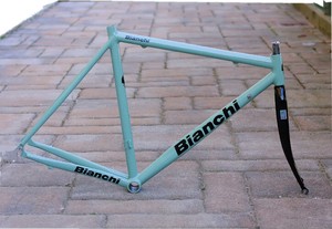 bianchi pro team