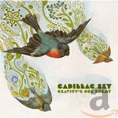 Gravity's Our Enemy by Cadillac Sky