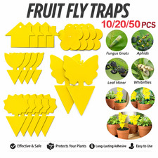 Fruit Fly Traps Yellow Fungus Gnat Killer Double-sided Sticky Fruit Fly Catcher