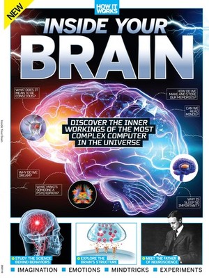 Inside Your Brain - The Most Complex Computer: Consciousness, Cognitive Biases,