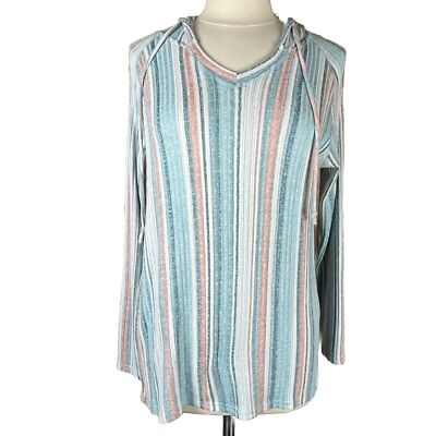 Above And Beyond (Size L) Multicolored Vertical Striped Knit Hoodie