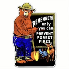 Sticker - Smokey Bear Prevent Forest Fires Wildfires Retro Fire Decal 3