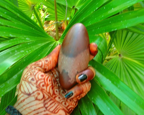 Shiva Lingam Stone Narmada River India Rare Special Nice Pocket Lingam~P-10 - Picture 5 of 8