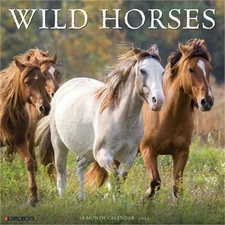 Wild Horses 2026 12 X 12 Wall Calendar (Bookbook - Detail Unspecified)
