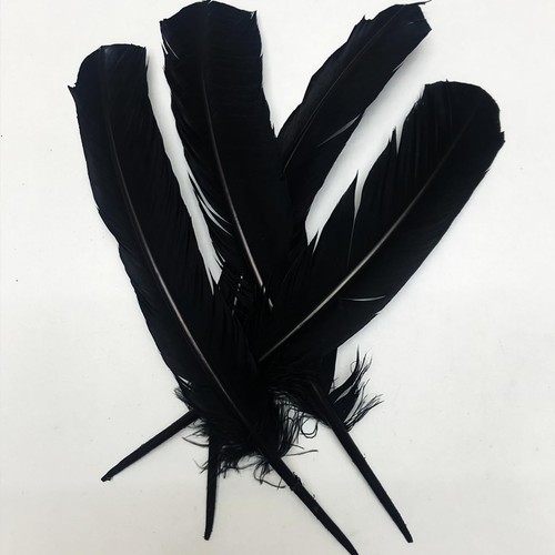 24 piezas plumas de pavo negro de 10 ~ 12 pulgadas de largo, hermosa pluma para manualidades - Imagen 3 de 6