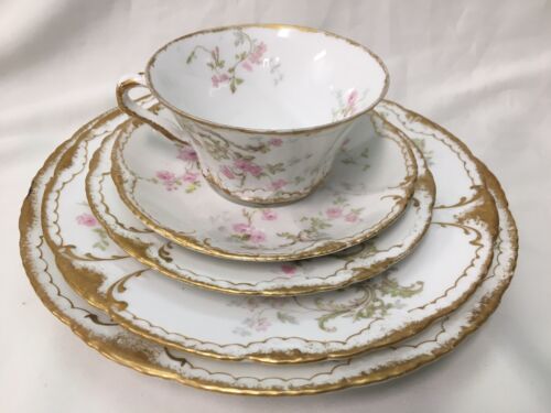 Th Haviland Schleiger 144F 5-PIECE PLACE SETTING Double Gold Pink Floral