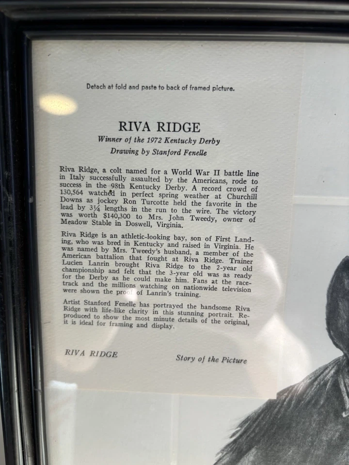 Ganadora del Derby de Kentucky 1972 Riva Ridge dibujo en marco por Stanford Fenelle Foto 2 de 4