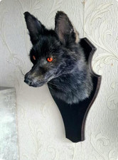 Red Fox Taxidermy - Made to Order - Handmade Custom Art - Gothic Art
